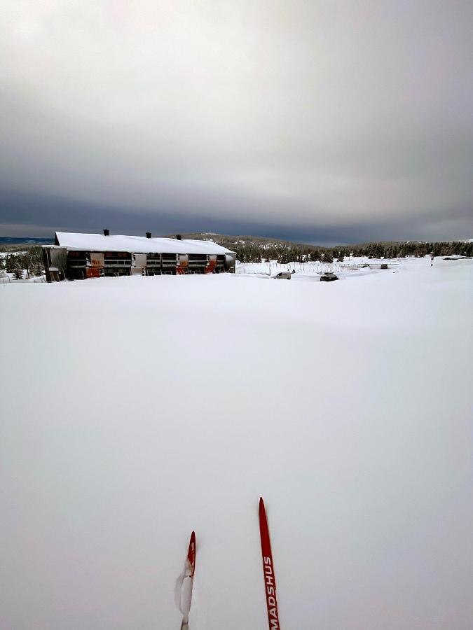 Lys Og Moderne Leilighet Rett Ved Skiloypa Pa Nordseter - Kort Vei Til Sjusjoen, Lillehammer Og Hafjell - Dyr Ikke Tillatt Екстериор снимка